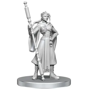 Critical Role Beauregard Lionett and Caleb Widogast - slika proizvoda pod brojem: 1