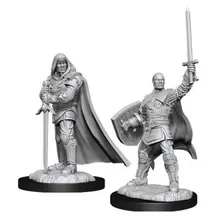 Preporučeni proizvod: D&D Nolzur's Marvelous Miniatures Human Male Paladin WZK90136
