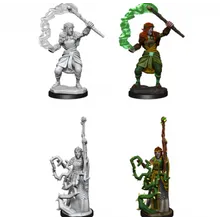 Preporučeni proizvod:  D&D Nolzur's Marvelous Miniatures Firbolg Female Druid