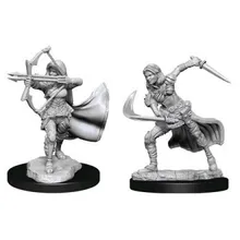 Preporučeni proizvod: D&D Nolzur's Mini Air Genasi Female