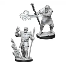 Recommended product: D&D Nolzur's Marvelous Miniatures Firbolg Male Druid