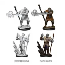 Recommended product: D&D Nolzur's Marvelous Miniatures Firbolg Male Druid