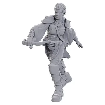 D&D Nolzur's Marvelous Miniatures Swashbuckler - image of product number: 1