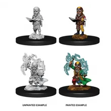 Preporučeni proizvod:  Pathfinder Male Gnome Sorcerer