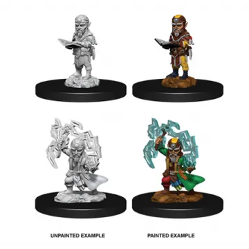 Pathfinder Male Gnome Sorcerer  - slika proizvoda pod brojem: 1