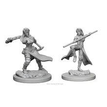 Preporučeni proizvod: D&D Nolzur's Mini Human Female Monk