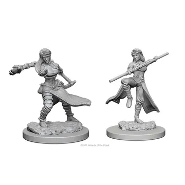 D&D Nolzur's Mini Human Female Monk - slika proizvoda pod brojem: 1
