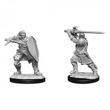 D&D Nolzur's Mini Human Male Paladin - image of product number: 1