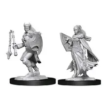 Recommended product: D&D Nolzur's Mini Kalashtar Female Cleric