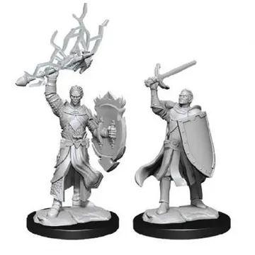 D&D Nolzur's Mini Half-Elf Male Paladin - image of product number: 1