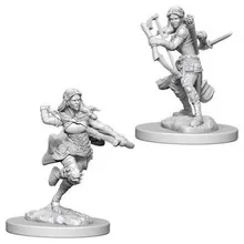 Recommended product: D&D Nolzur's marvelous miniatures - Air Genasi Female Rogue