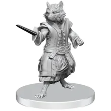 Preporučeni proizvod: Pathfinder Deepcuts Procyal Raccoon Agathion & Zoaem Ring Archon