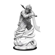 Recommended product: D&D Nolzur's Marvelous Miniatures Djinni