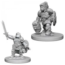 Preporučeni proizvod:  D&D Nolzur's marvelous miniatures - Female Dwarf Paladin
