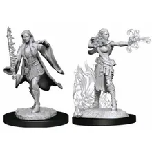 Preporučeni proizvod: D&D Nolzur's Marvelous Miniatures Multiclass Female Warlock & Sorcerer