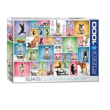 Recommended product: Puzzle Yoga Dogs