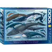 Preporučeni proizvod: Puzzle Whales & Dolphins