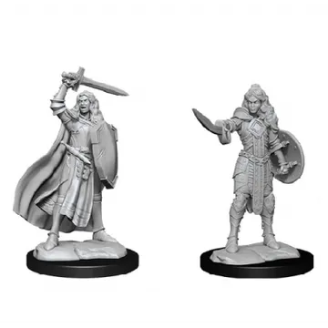 Pathfinder Deepcuts Female Human Champion - slika proizvoda pod brojem: 1