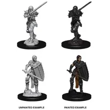 Preporučeni proizvod: D&D Nolzur's Marvelous Miniatures Female Human Fighter WZK73705
