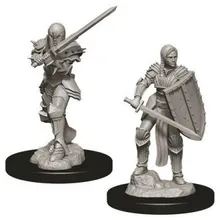 Preporučeni proizvod: D&D Nolzur's Marvelous Miniatures Female Human Fighter WZK73705