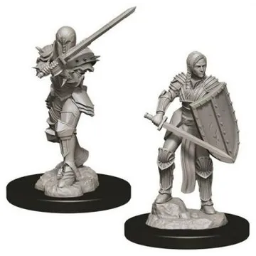 D&D Nolzur's Marvelous Miniatures Female Human Fighter WZK73705 - slika proizvoda pod brojem: 1