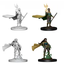 Preporučeni proizvod:  D&D Nolzur's marvelous miniatures - Female Elf Druid