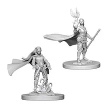 Preporučeni proizvod:  D&D Nolzur's marvelous miniatures - Female Elf Druid