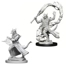 Recommended product: D&D Nolzur's marvelous miniatures - Tiefling Male Sorcerer Minis