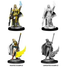 Preporučeni proizvod:  Pathfinder Human Female Oracle